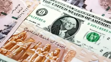دولار أمريكي أرشيفية