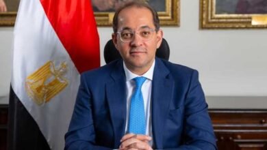 وزير المالية