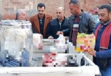 حملات تموينية ارشفية