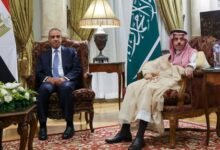 وزير الخارجية المصري والسعودي