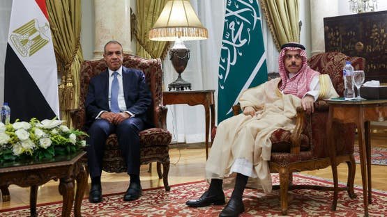 وزير الخارجية المصري والسعودي